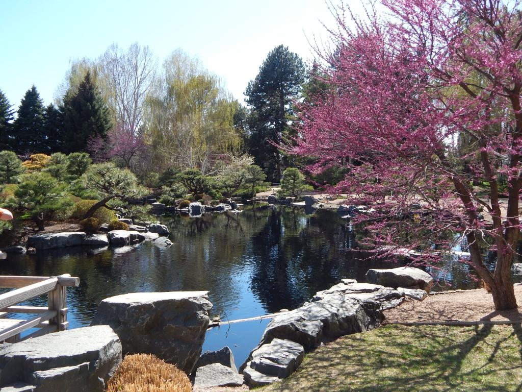 Spring has sprung at the Denver Botanic Gardens