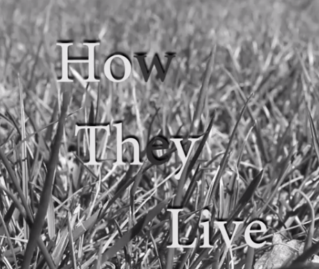 How They Live Documentary