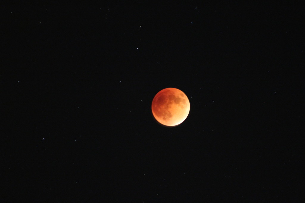 Blood moon eclipse taken by Kylie Stewart