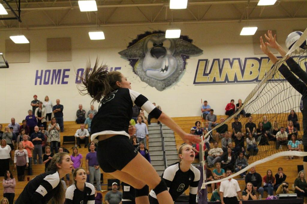 Volleyball serves Collins