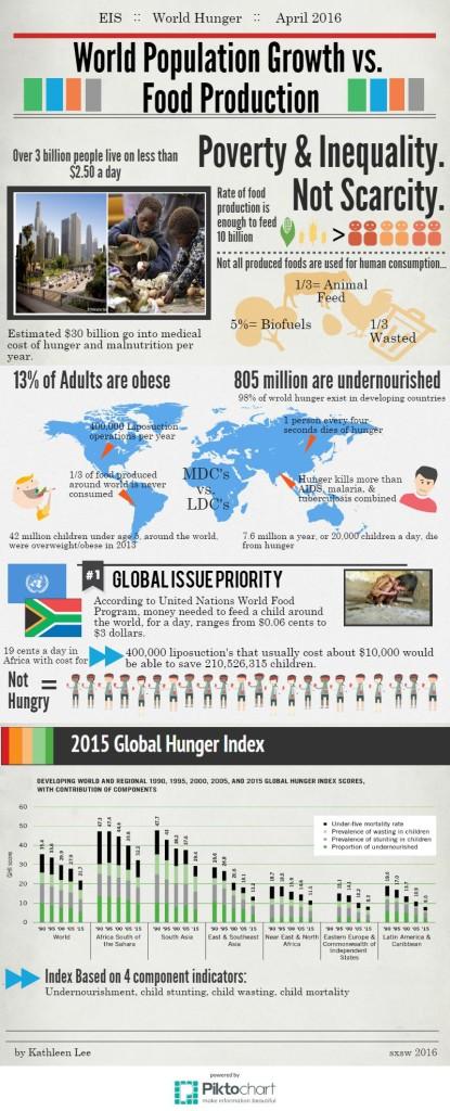 World hunger infographic