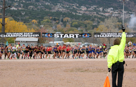 Regionals and State end the Cross Country season