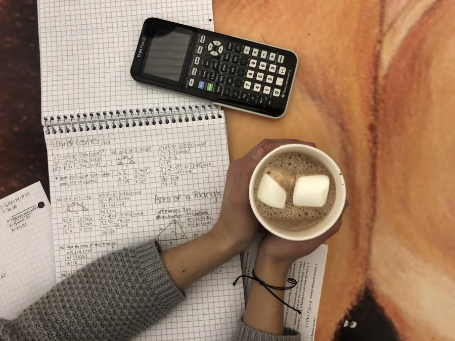 Student crams for a math final. Photo Credit: Milena Brown