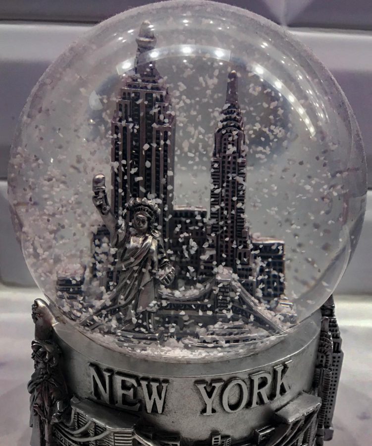 Letter of Recommendation: Snow Globes