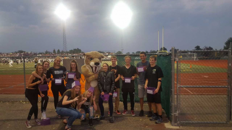 Sabercat Stories: Alison Shad