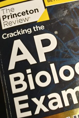 What to Expect for Your AP Tests