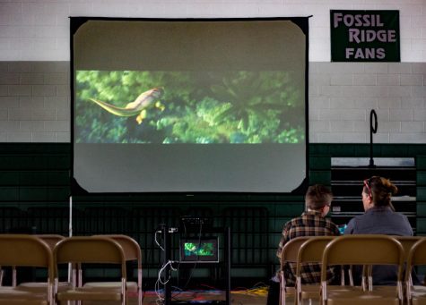 Despite low attendance, Movie Night offers an enjoyable experience
