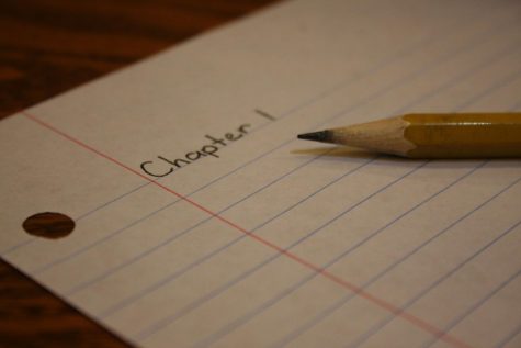 Letter of Recommendation: NaNoWriMo