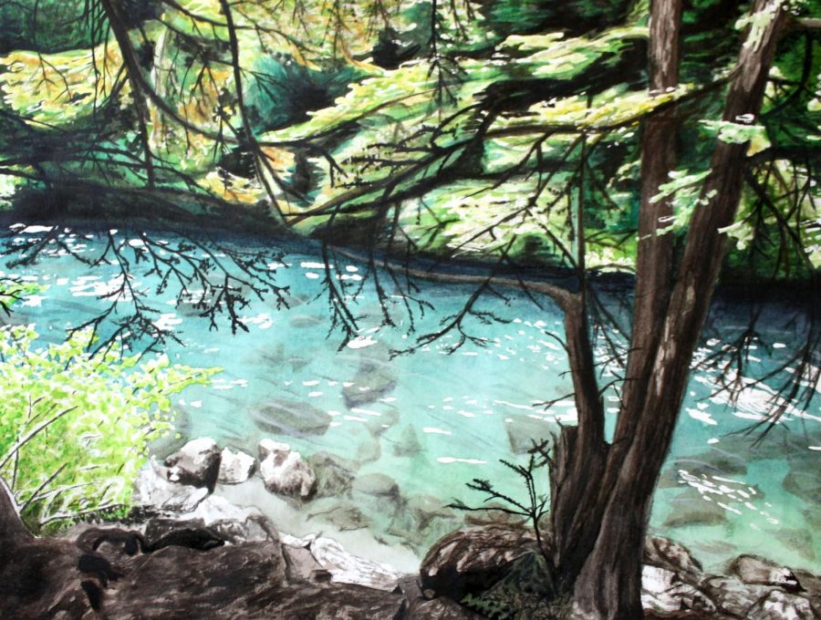 Junior, Cami Campbells, water color painting titled The Clearing. 