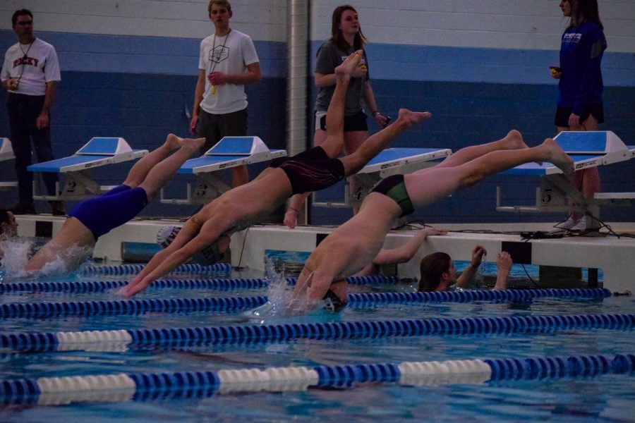 Boy's swim and dive is one of the sports included in Season D. (Olivia Doro)
