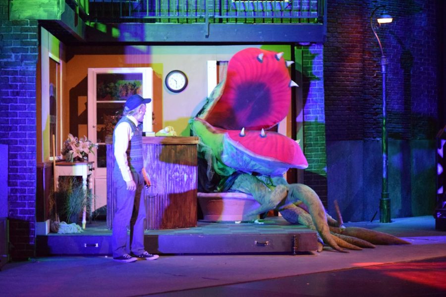 As Audrey II sings about a desire for human flesh, Mushnick battles with his own morals.