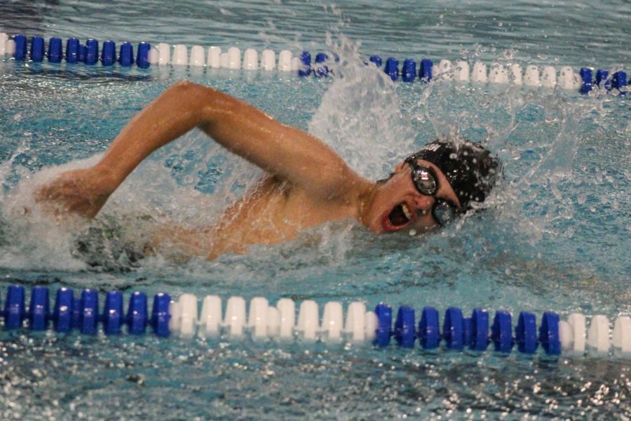 A fossil swimmer during the City Meet.