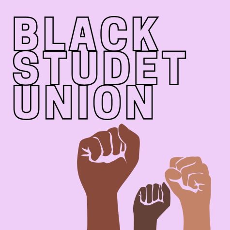 Black Student Union offers a safe space at Fossil