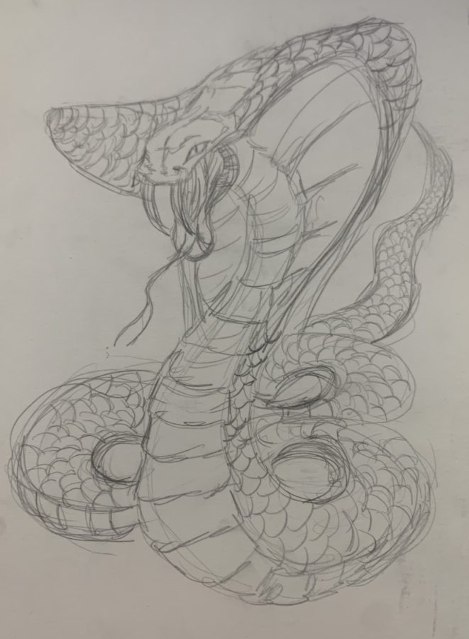 A detailed snake tattoo design I worked on throughout a class.