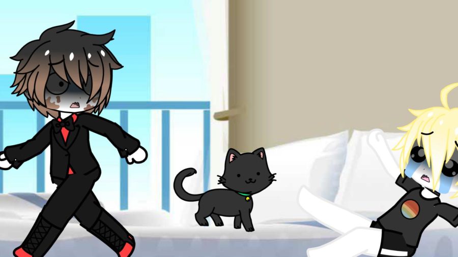 Two students panicking after they saw a black cat on the bed.