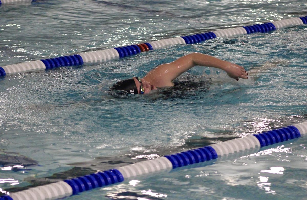 Stella Brade working to rapidly complete the 500 free.