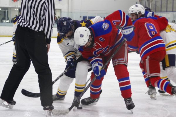 Stars player attempting to gain the puck after a face-off.