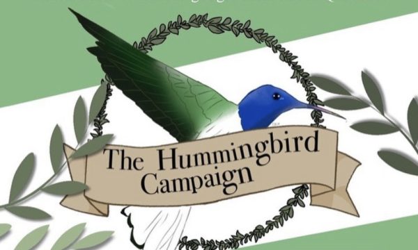The Hummingbird Campaign strives to share anonymous stories centered around mental health.