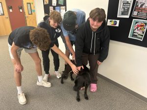 Steven Smikahl, left, Max Barlow, Paddy Garvey and Beckham Cade Johnson enjoy petting Roxy during class.