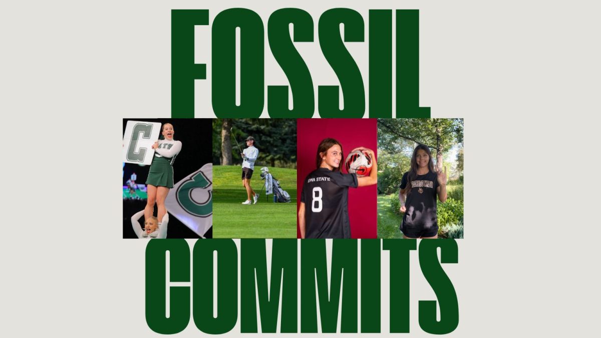 Fossil commits
