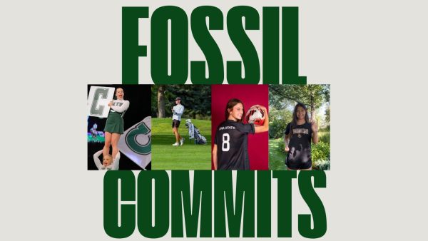 Fossil commits