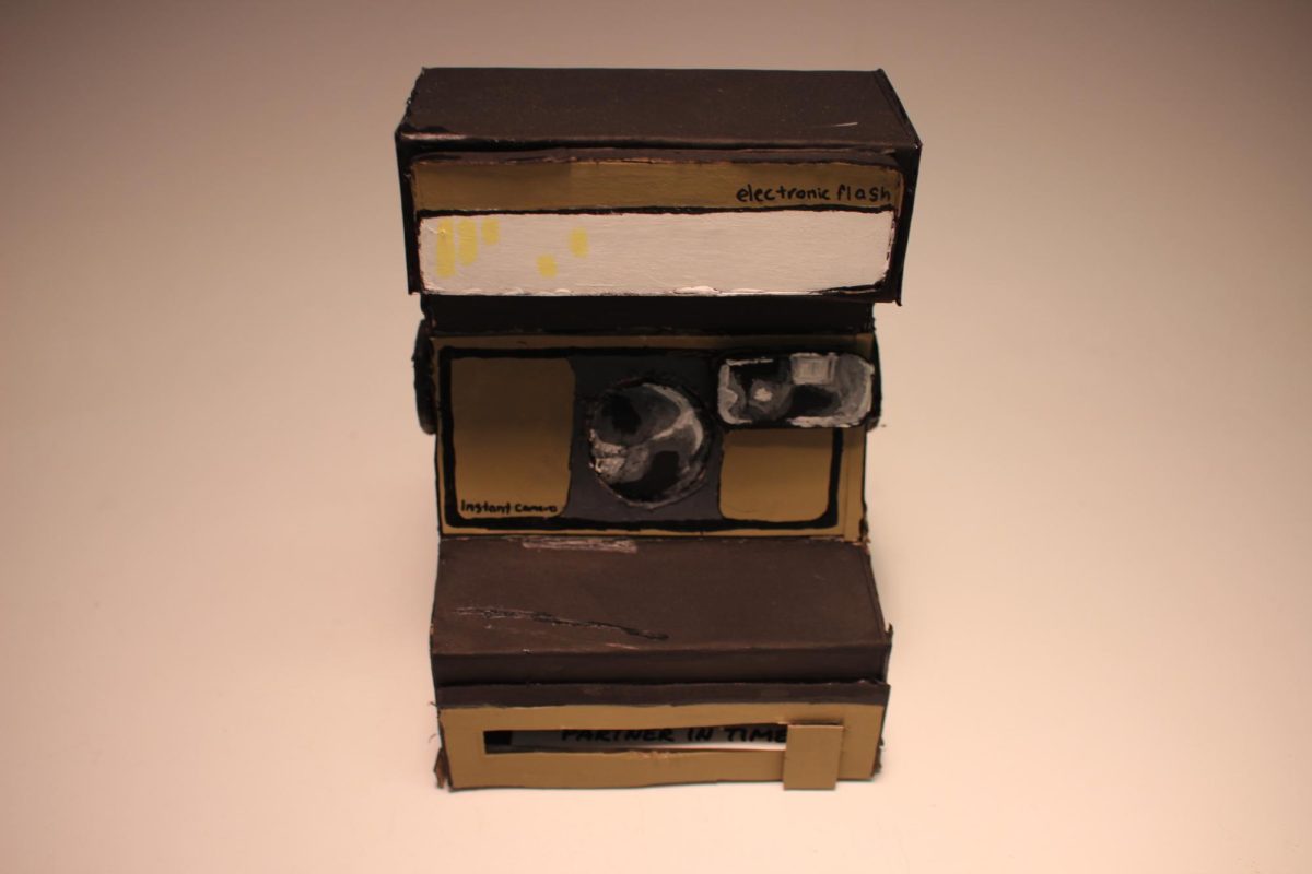 Polaroid, Roz Rulli - junior 