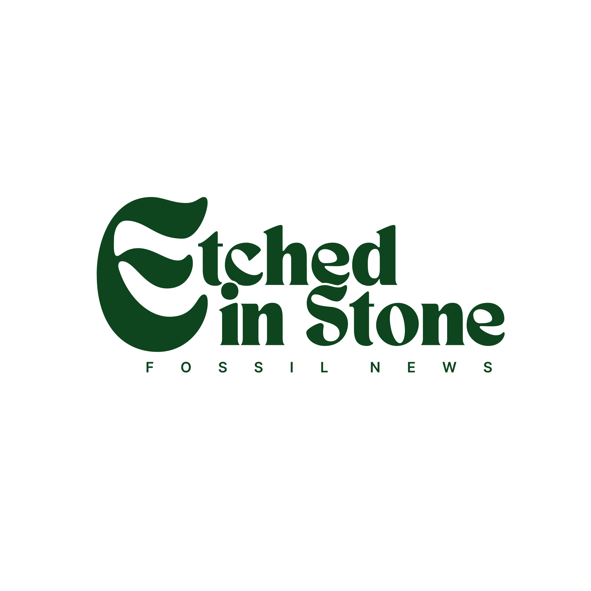 The Student News Site of Fossil Ridge High School